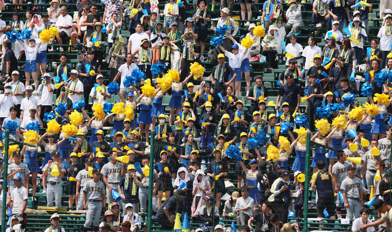 神村学園対仙台育英　攻撃中声援を送る仙台育英のチアリーダー（撮影・加藤哉）