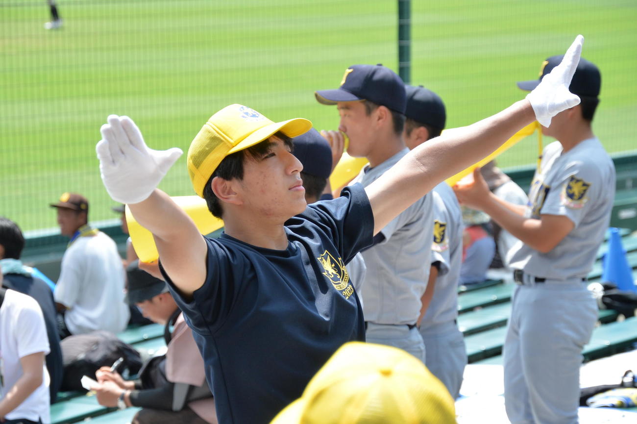 神村学園対仙台育英　専大松戸のチャンステーマ「エル・ティグレ」の演奏を提案し、仙台育英吹奏楽部の指揮を取る馬路（撮影・濱本神威）
