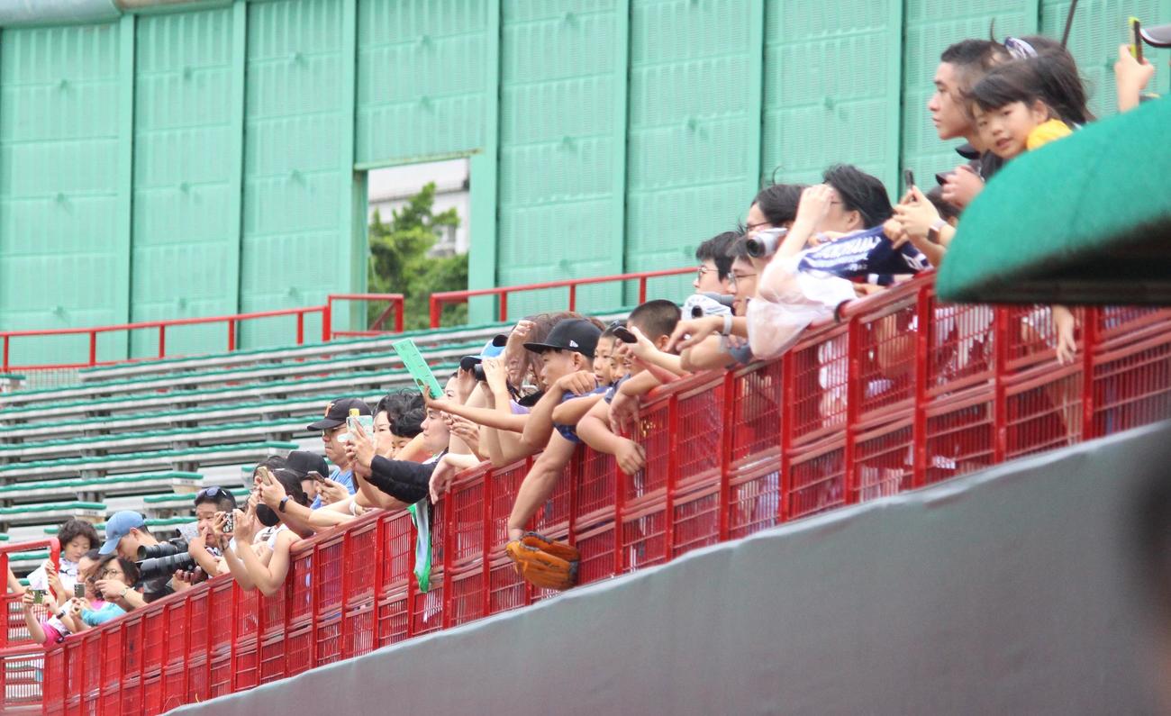 日本対米国　日本の試合前練習を見るファン（撮影・保坂恭子）