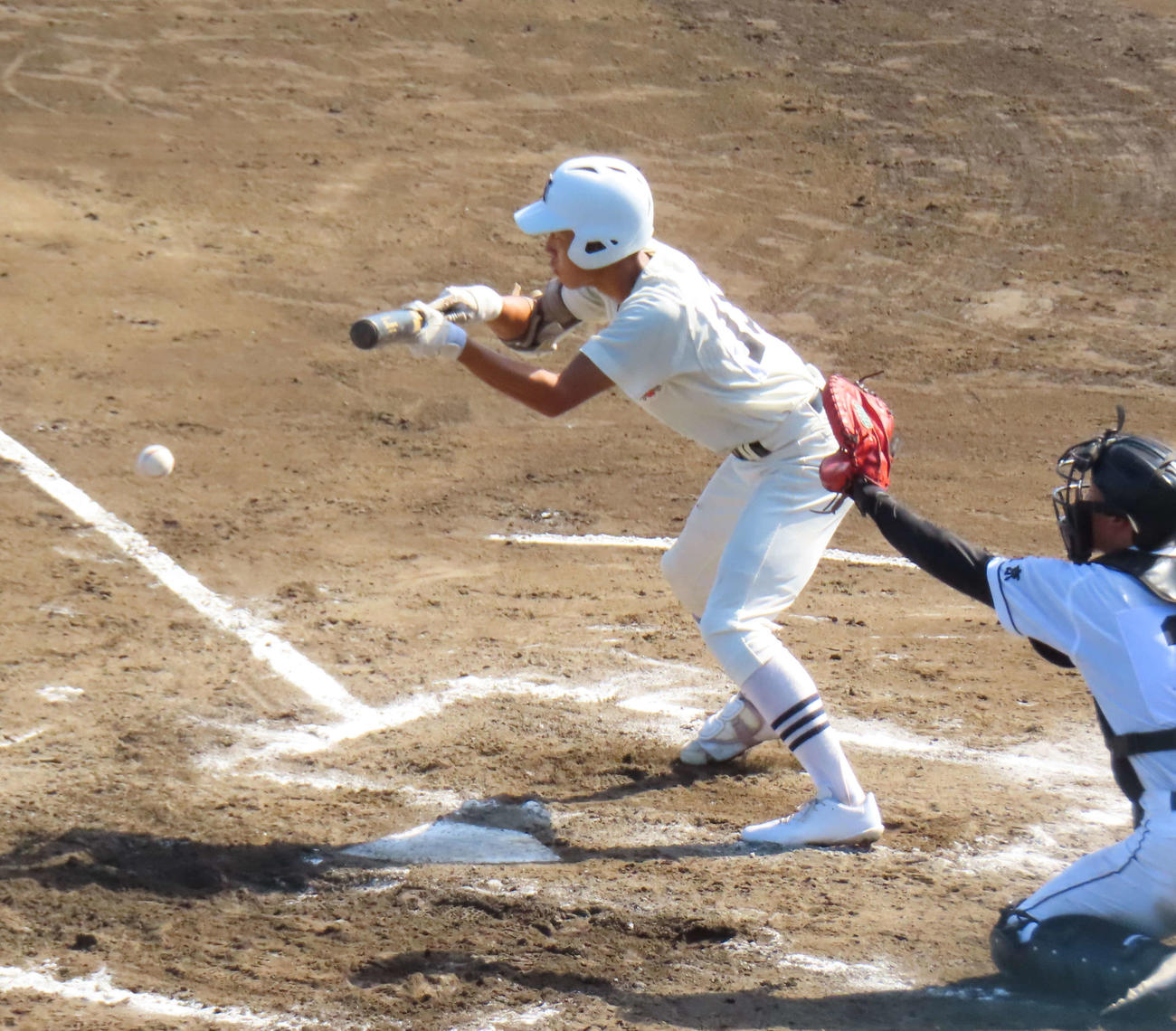 日大三対昭和第一　3度のバントを全て成功させた本間（撮影・佐瀬百合子）