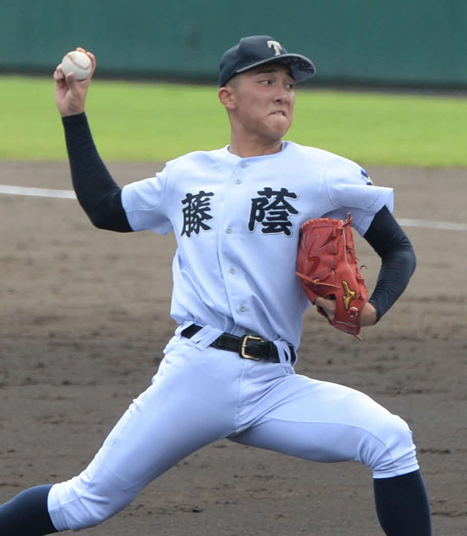 藤蔭・松石信八（2023年7月13日撮影）
