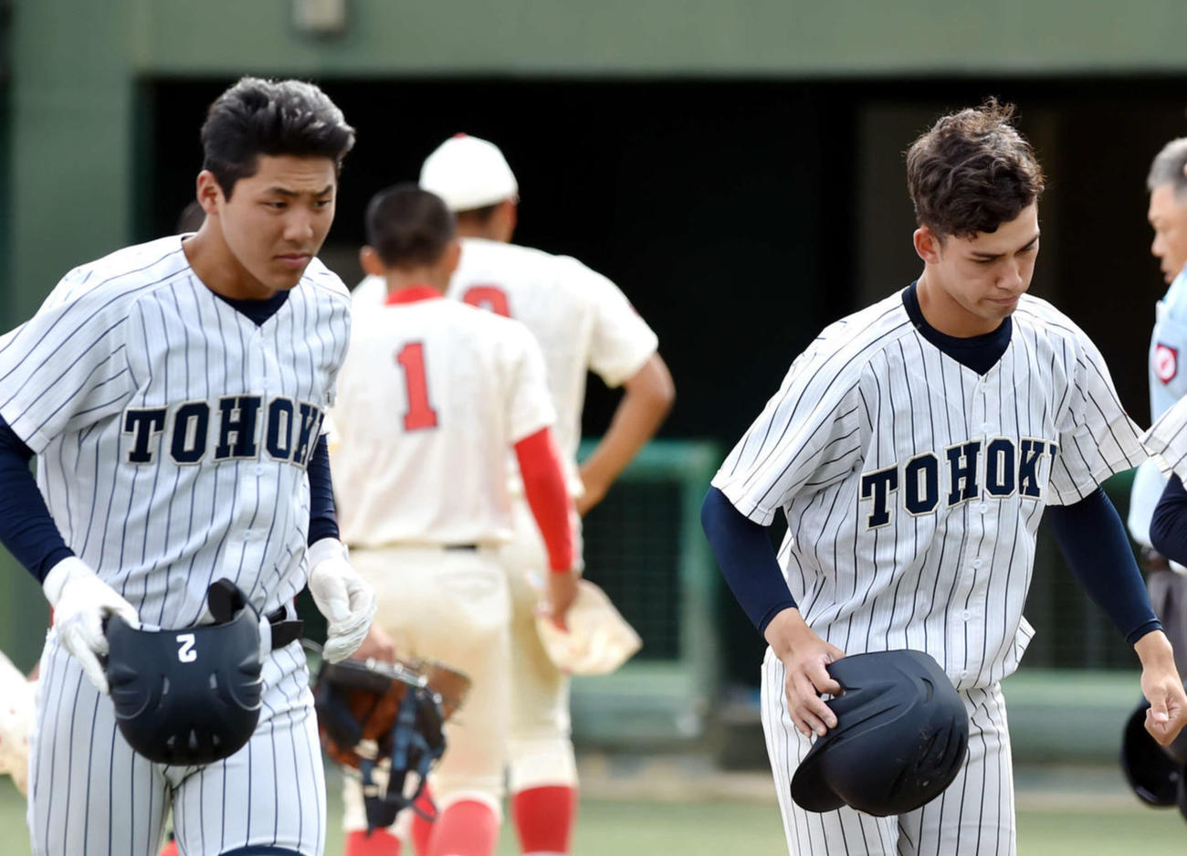 東北の左から日隈、ハッブス（2023年5月撮影）