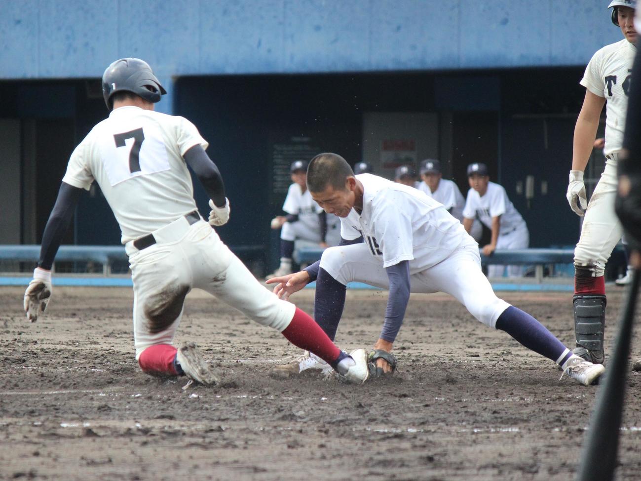 5回、本塁憤死する大阪桐蔭・境（撮影・柏原誠）
