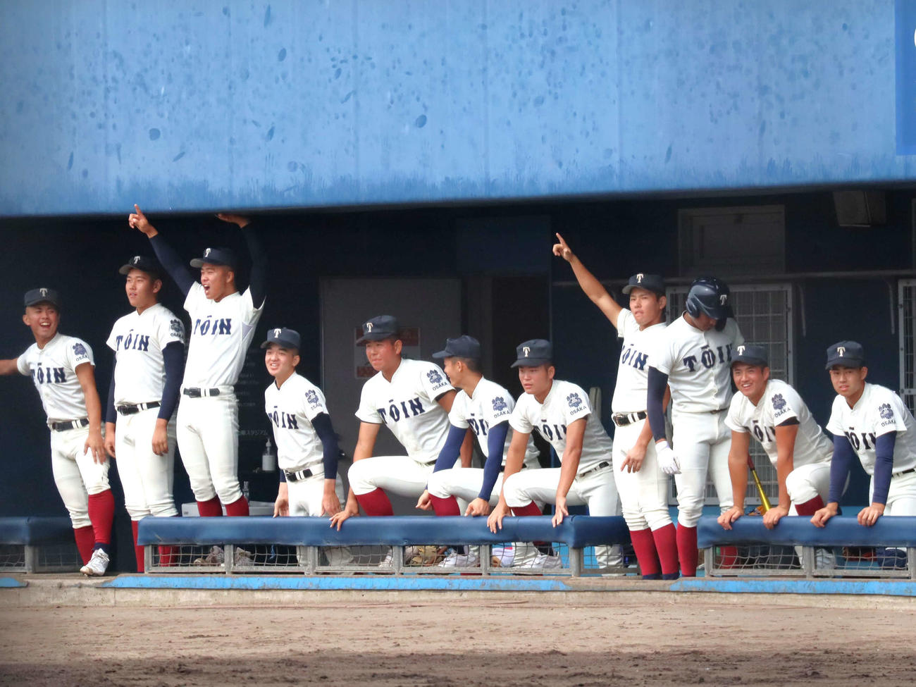 秋季近畿地区大会大阪府予選　大阪桐蔭対桜宮　1回境亮陽の先頭打者本塁打に喜ぶ大阪桐蔭ナイン（撮影・村松万里子）
