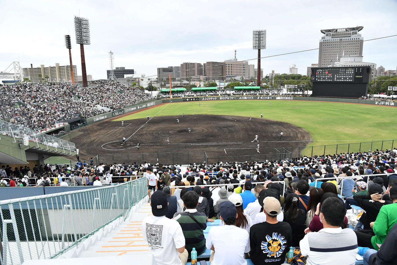 仙台育英対慶応　満員の平和リース球場（撮影・岩下翔太）