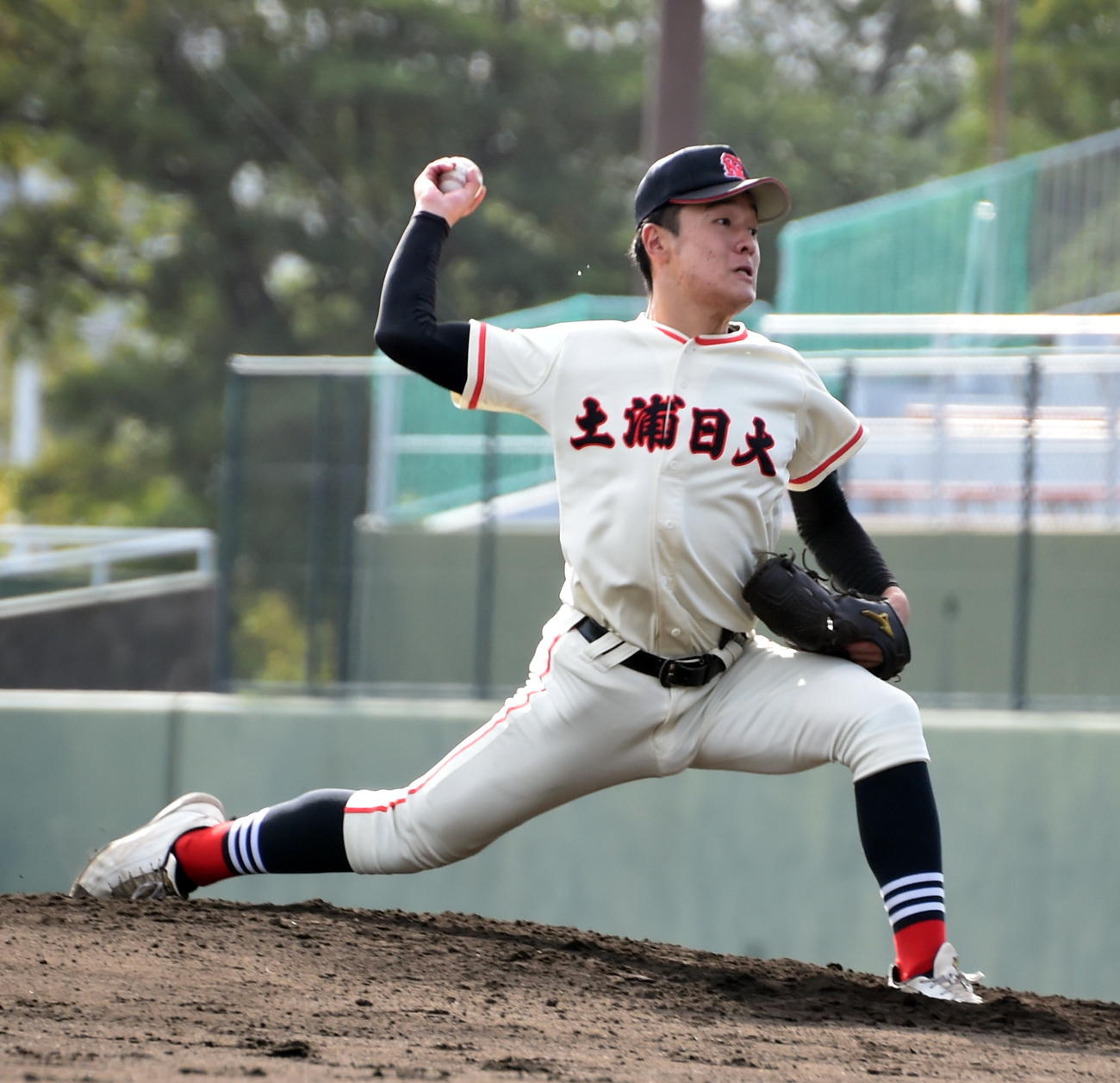 土浦日大対履正社　力投する土浦日大2番手・畑（撮影・山田愛斗）