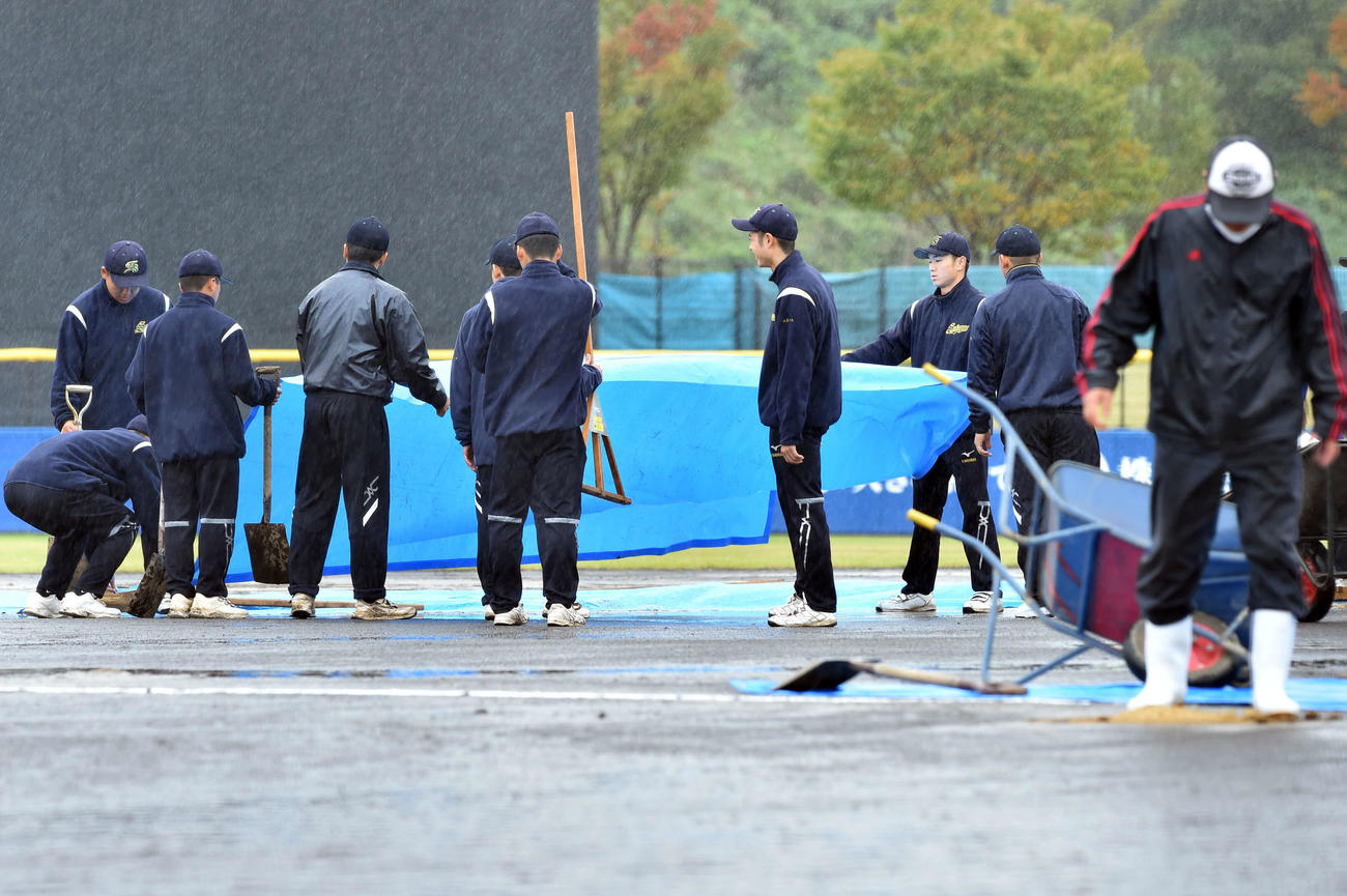 降雨の中、グラウンド整備を行う球場スタッフ（撮影・相沢孔志）
