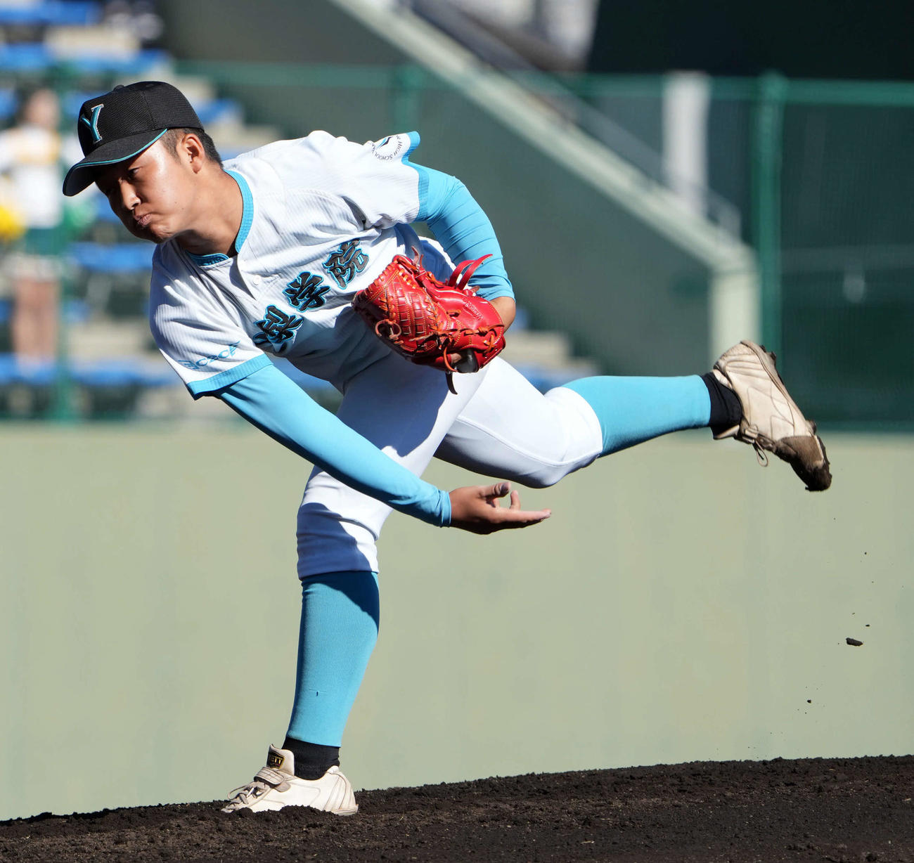 山梨学院対昌平　山梨学院の先発桜田（撮影・たえ見朱実）