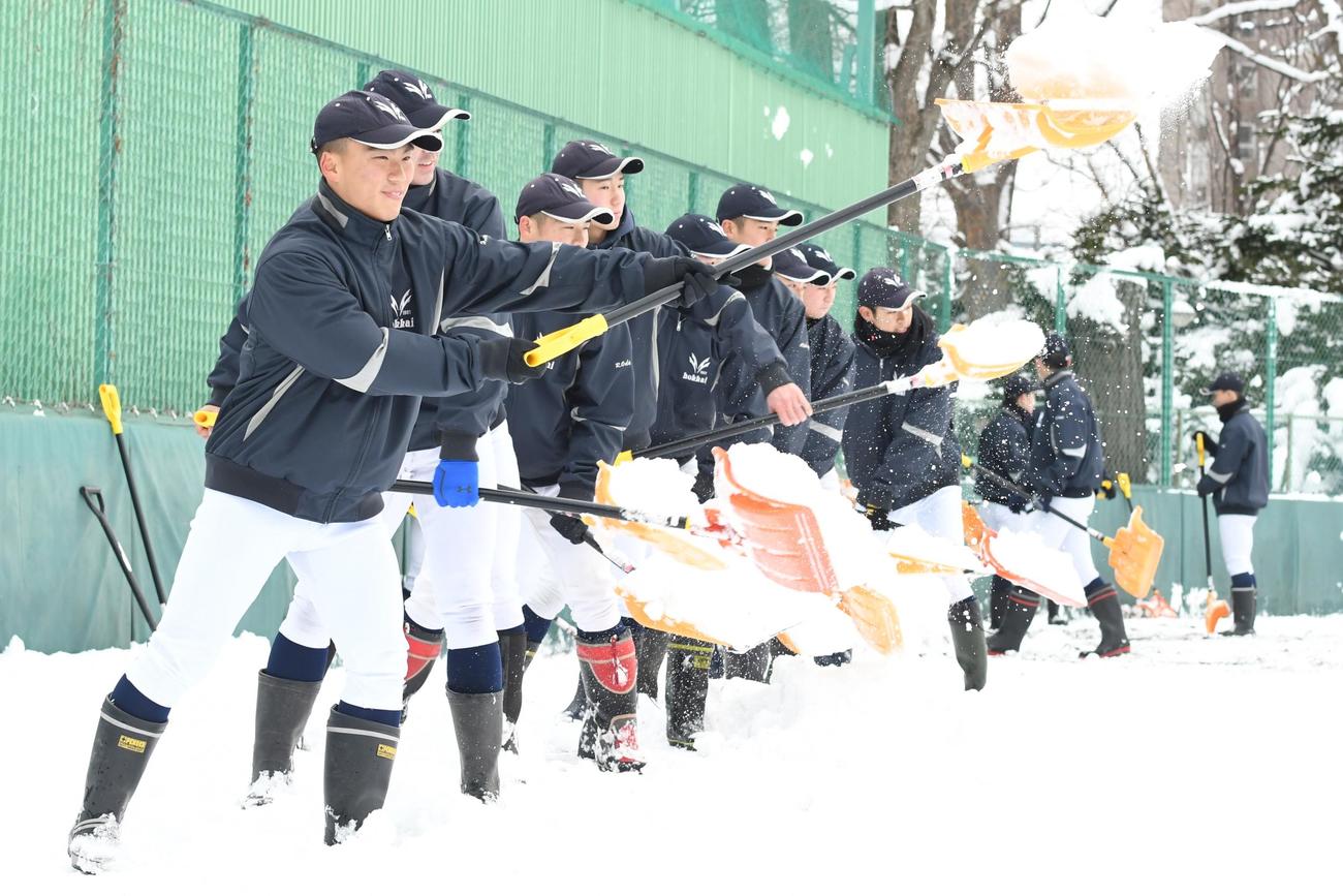 グラウンドの除雪作業を行う北海高野球部の選手たち（撮影・石井翔太）