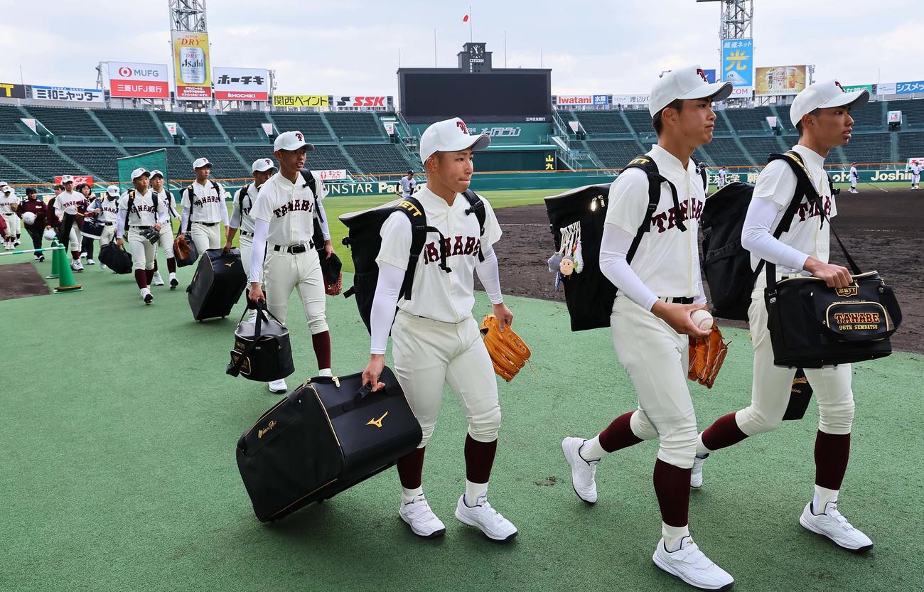 甲子園球場に入る田辺ナイン（撮影・上田博志）
