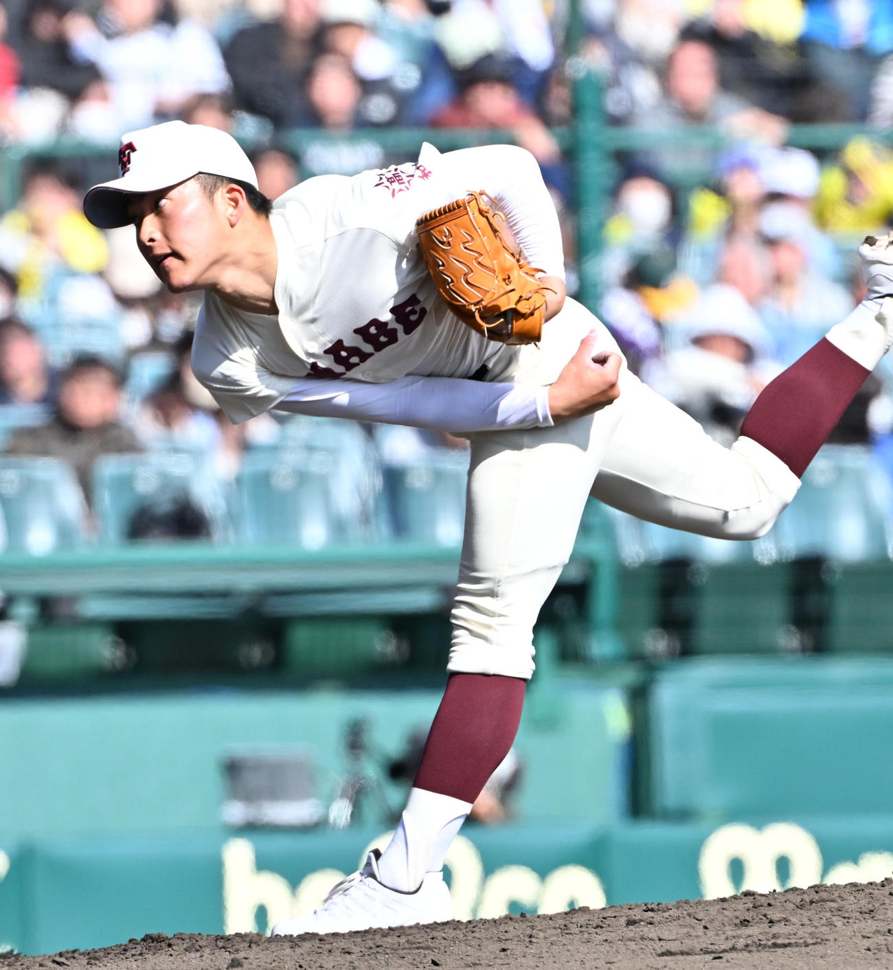 星稜対田辺　田辺先発の寺西邦右（撮影・石井愛子）