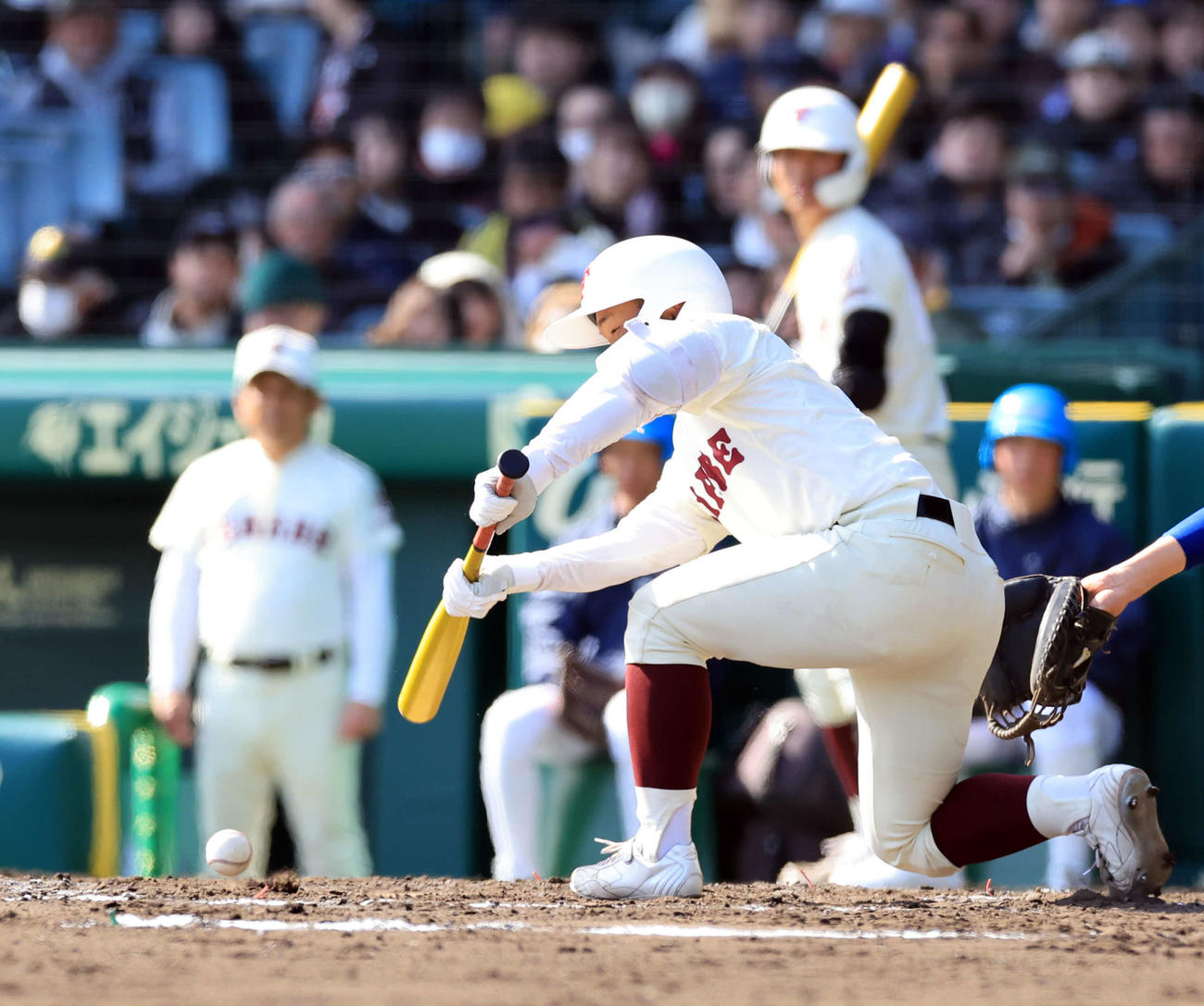 星稜対田辺　4回裏田辺1死三、前田はスクイズを決める（撮影・浅見桂子）