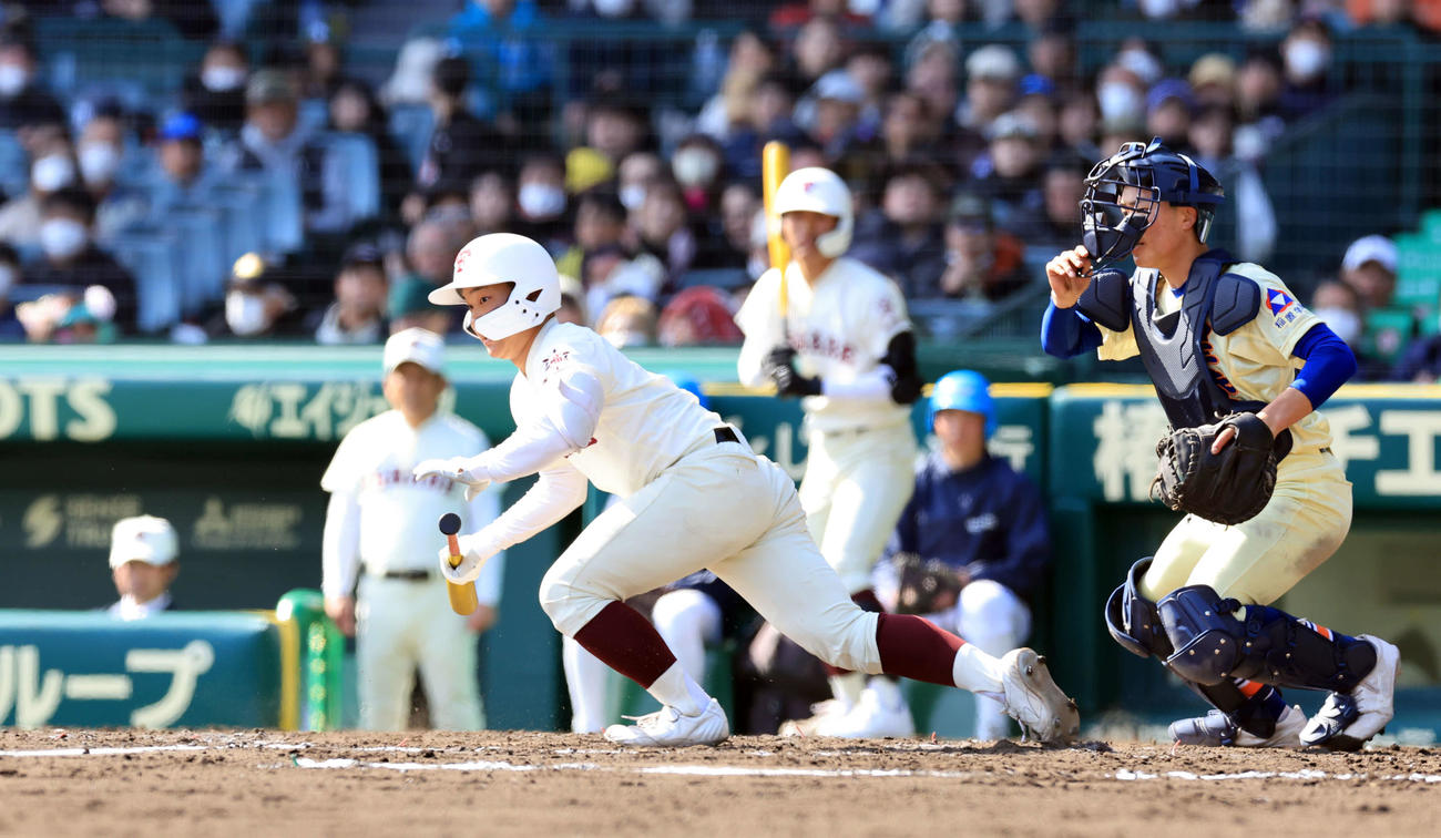 星稜対田辺　4回裏田辺1死三、前田はスクイズを決める（撮影・浅見桂子）