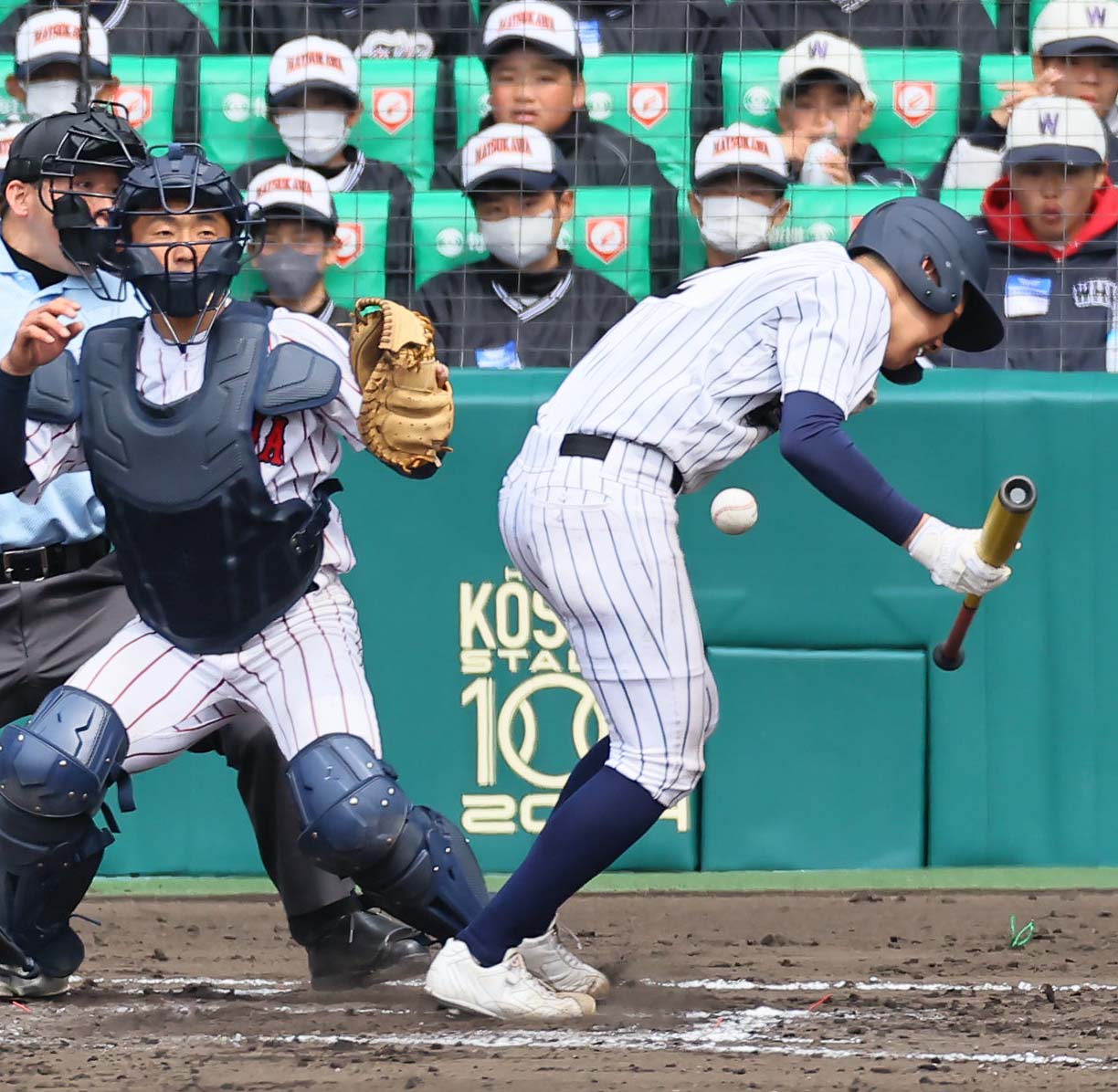 阿南光対豊川　8回表阿南光無死一、二塁、顔面付近に死球を受ける阿南光・井坂（撮影・上田博志）