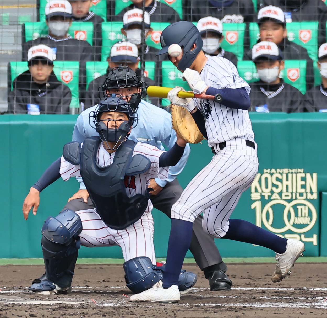 阿南光対豊川　8回表阿南光無死一、二塁、顔面付近に死球を受ける阿南光・井坂（撮影・上田博志）