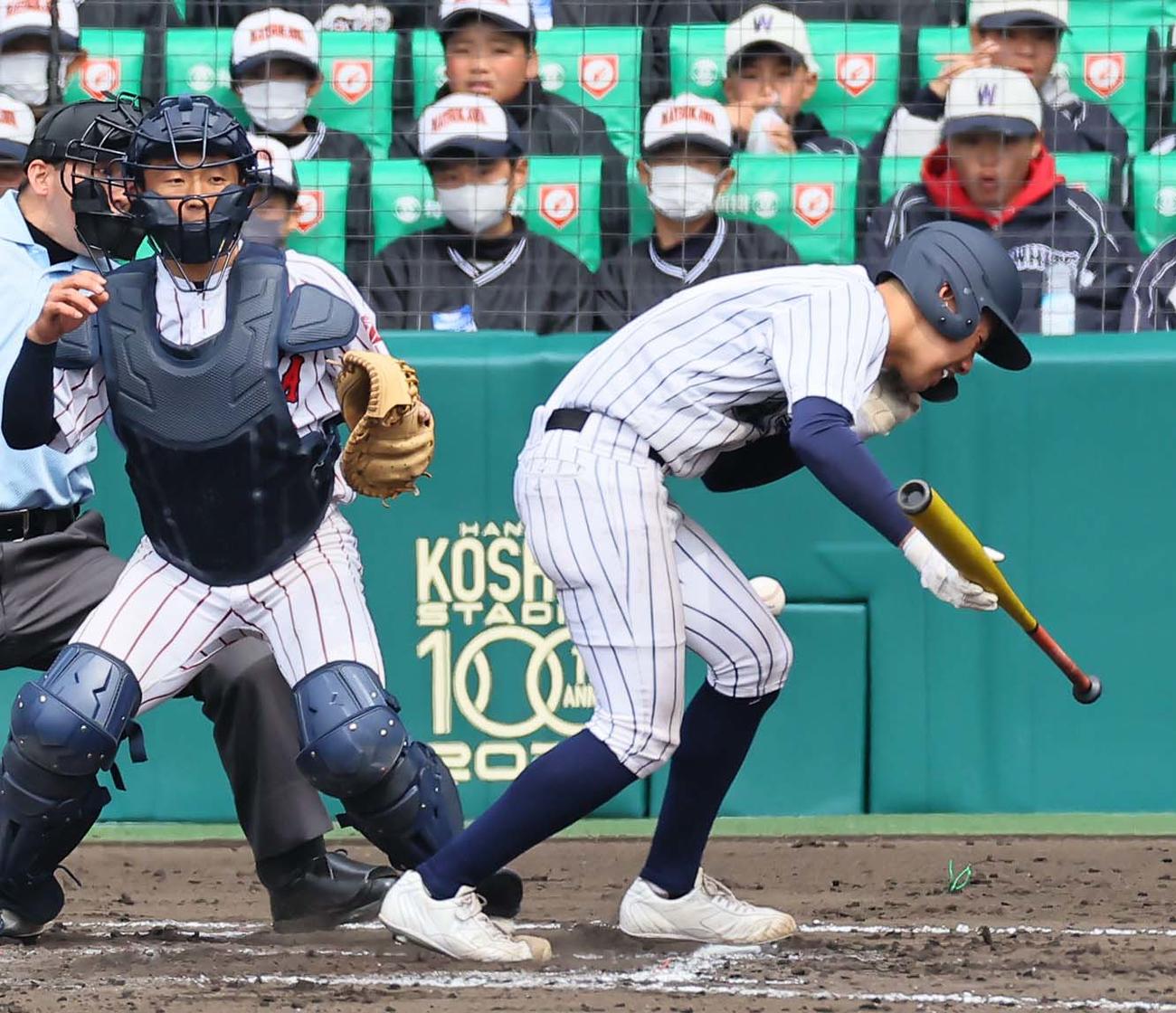 阿南光対豊川　8回表阿南光無死一、二塁、顔面付近に死球を受ける阿南光・井坂（撮影・上田博志）