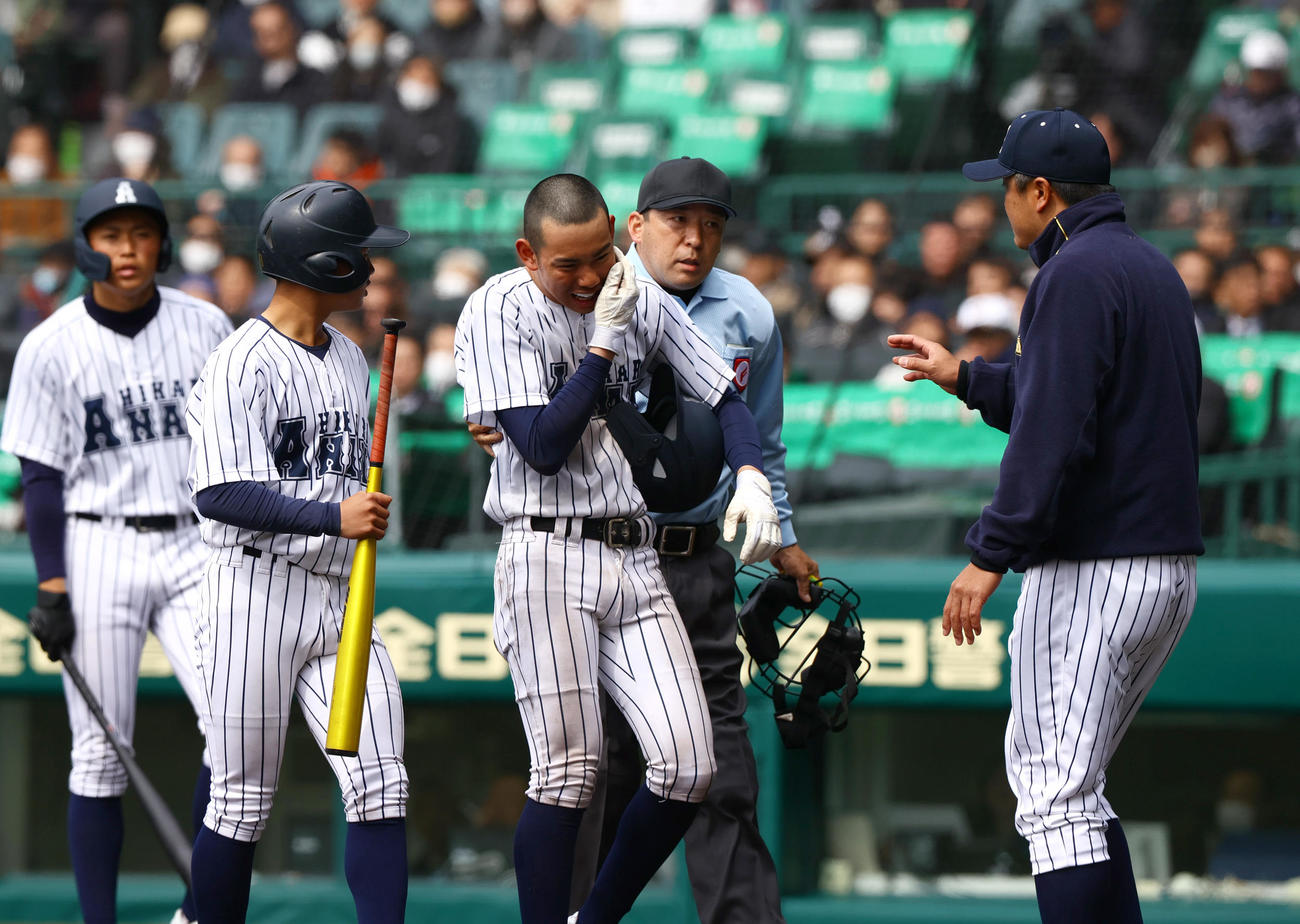 阿南光対豊川　8回表阿南光無死一、二塁、井坂（左から3人目）は死球で痛がる（撮影・上山淳一）