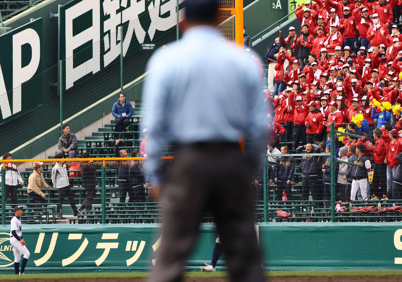 阿南光対豊川　8回裏豊川1死一塁、阿南光の右翼手戸田（左下）はモイセエフの右越えの打球を見送る（撮影・上山淳一）