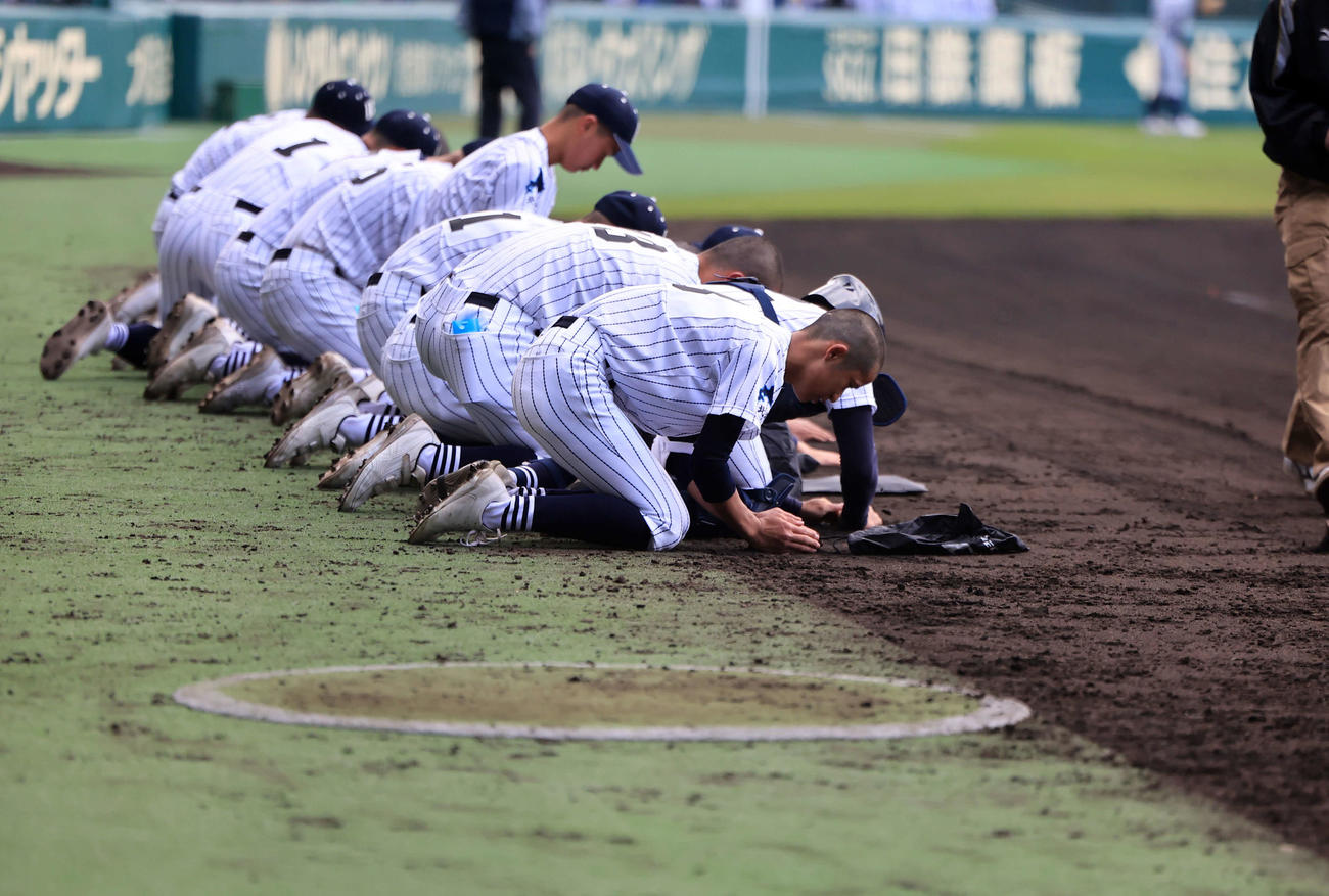 創志学園対別海　0－7で敗れ甲子園の土を集める別海の選手たち（撮影・浅見桂子）