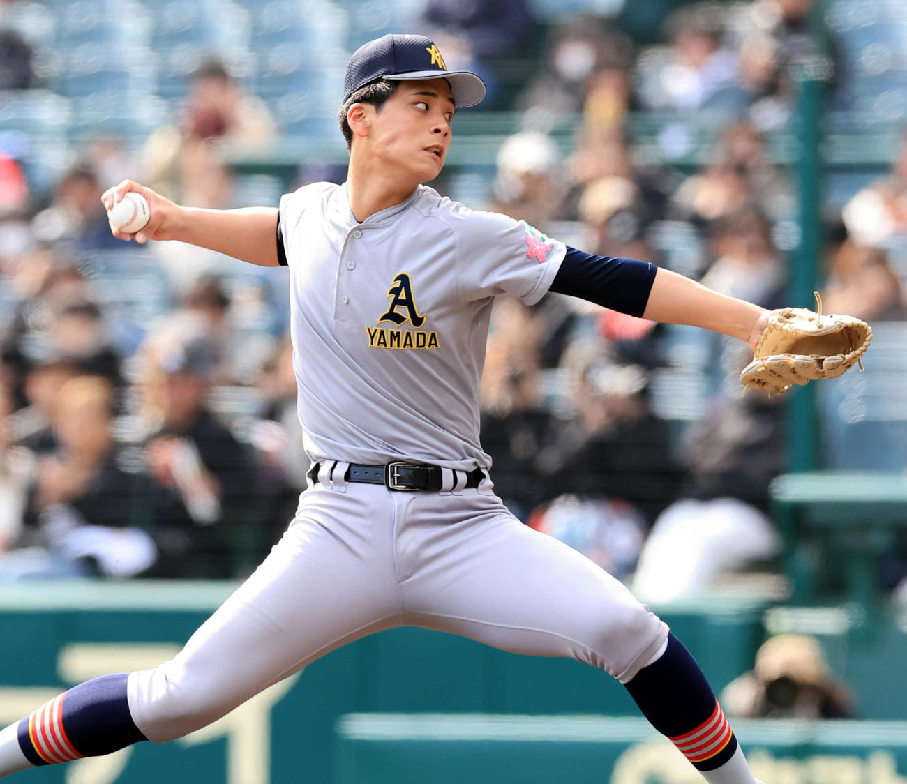 京都国際対青森山田　力投する青森山田・関（撮影・浅見桂子）