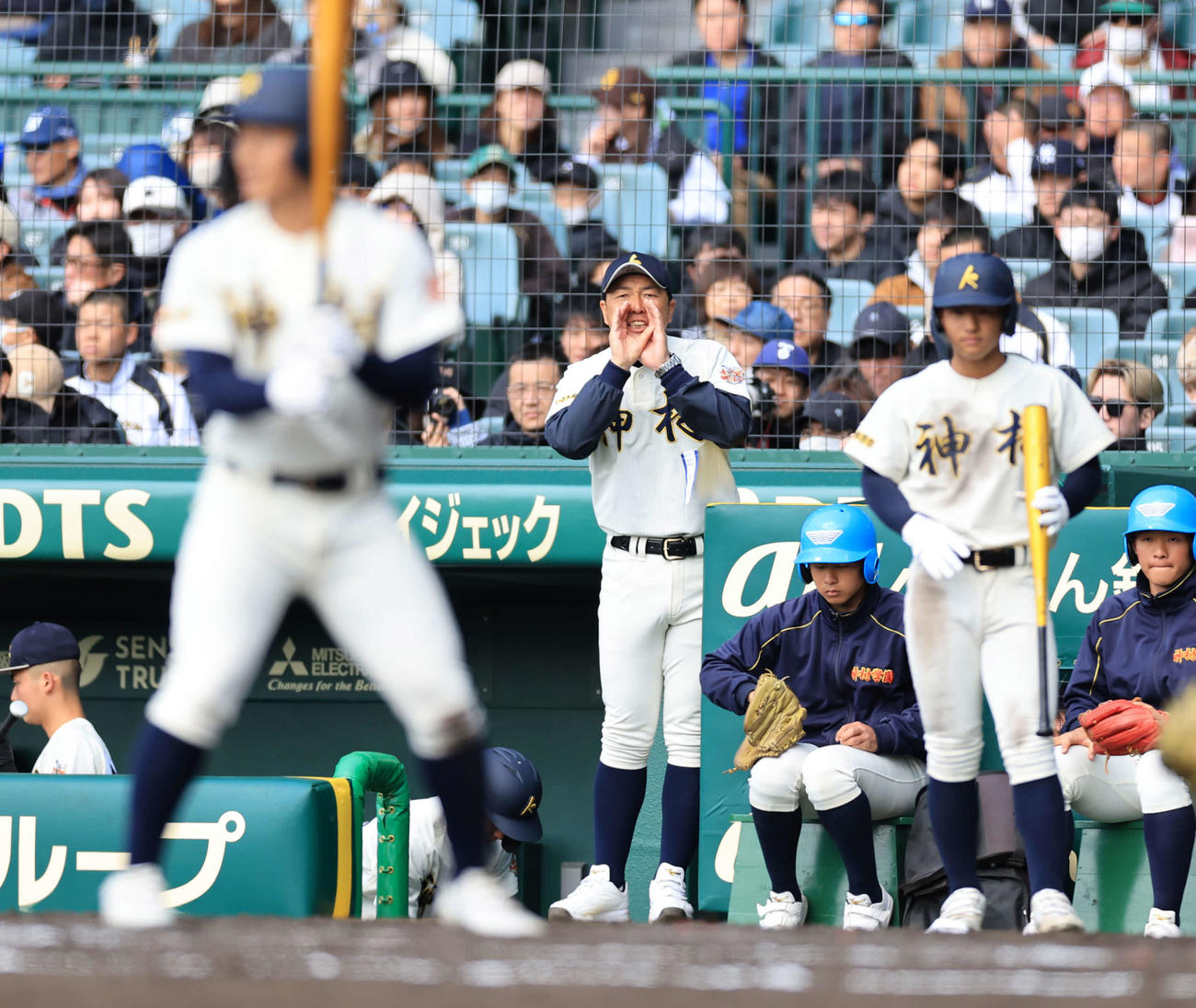 作新学院対神村学園　5回裏神村学園1死満塁、打者川下にベンチから声をかける小田監督（中央）（撮影・浅見桂子）