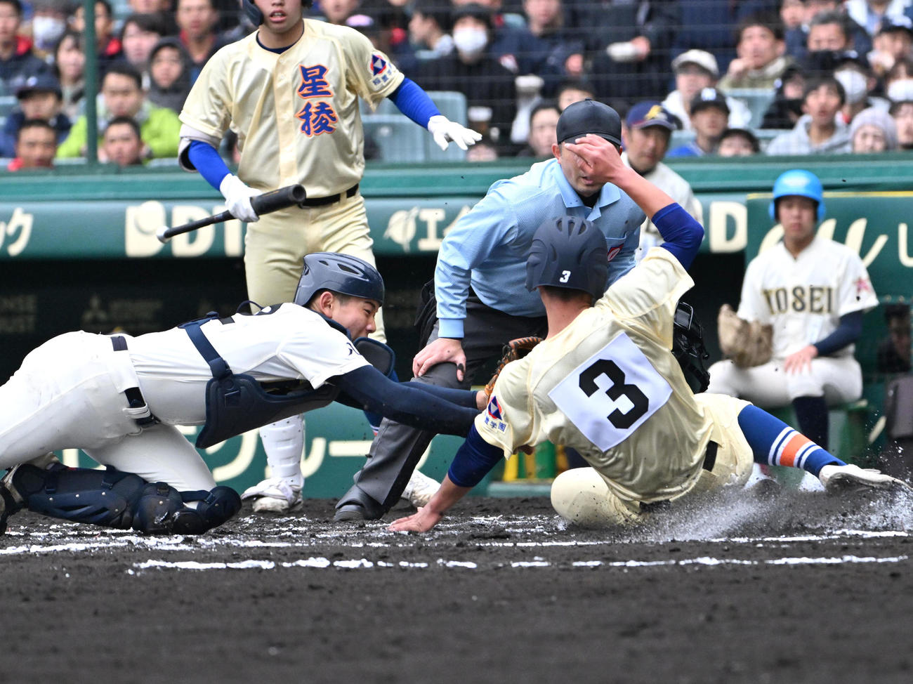 八戸学院光星対星陵　6回裏星稜2死二塁、中島幹大の適時打で生還する服部航（右）（撮影・石井愛子）