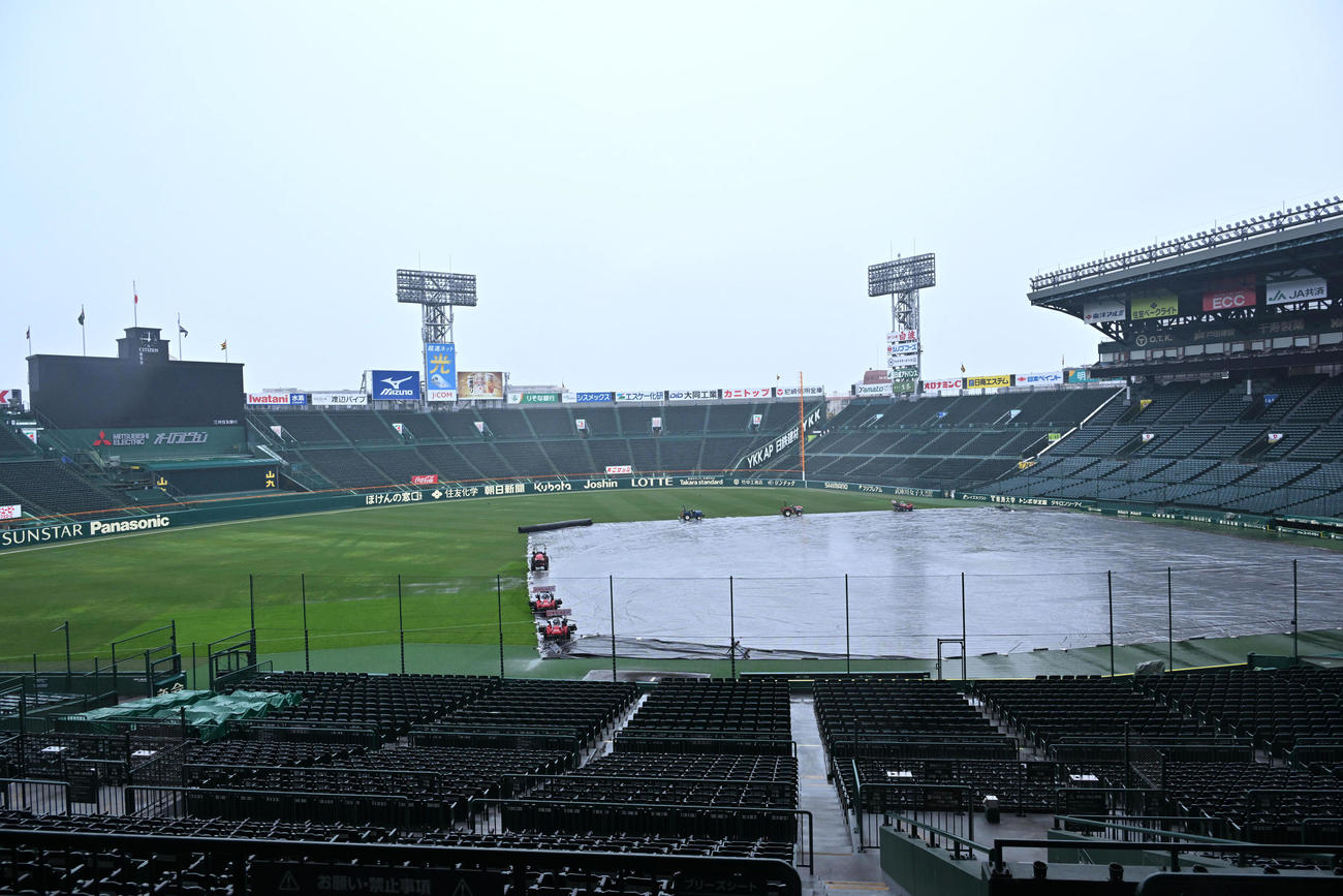 甲子園球場のシート＝2024年3月5日