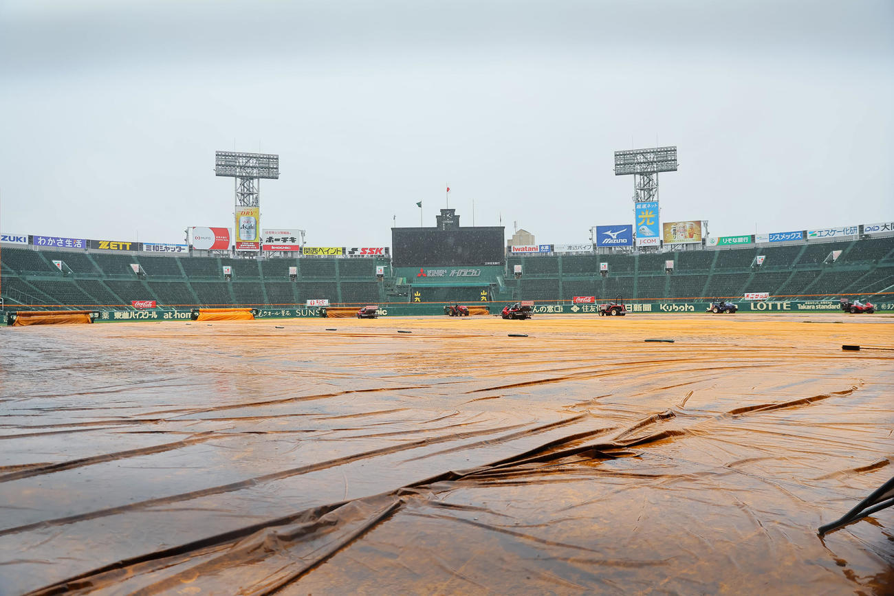 甲子園球場のシート＝2023年6月2日