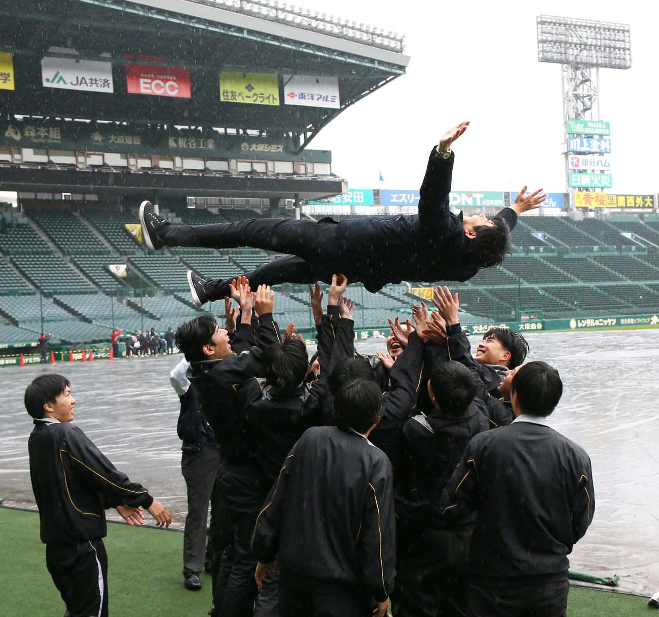 甲子園を訪れた能登地方加盟校・飯田高校の笛木監督を胴上げする部員たち（撮影・上山淳一）