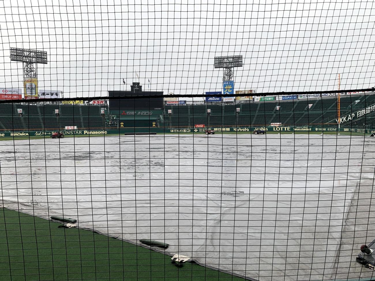 シートがひかれた甲子園（撮影・滝沢徹郎）
