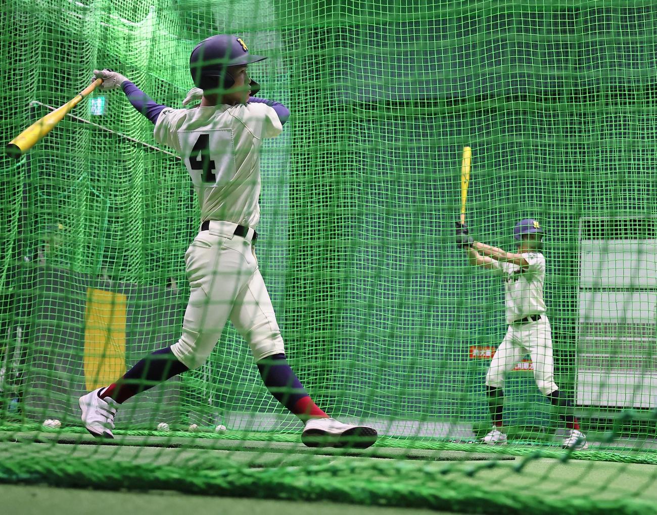 室内で打撃練習をする熊本国府・野田希（撮影・上田博志）