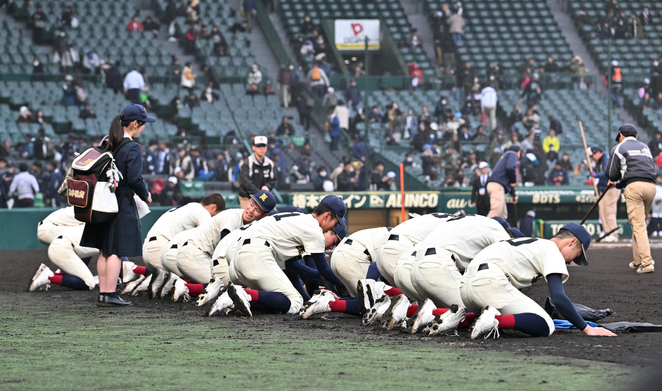 熊本国府対阿南光　試合に敗れ甲子園の土を集める熊本国府の選手たち（撮影・滝沢徹郎）