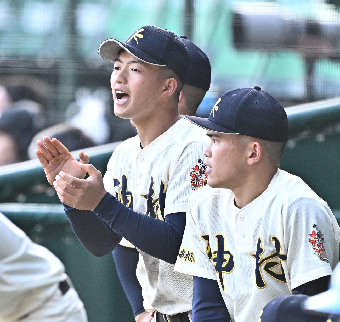 神村学園対大阪桐蔭　9回表、ベンチからチームメートを鼓舞する神村学園・川下（左）（撮影・滝沢徹郎）
