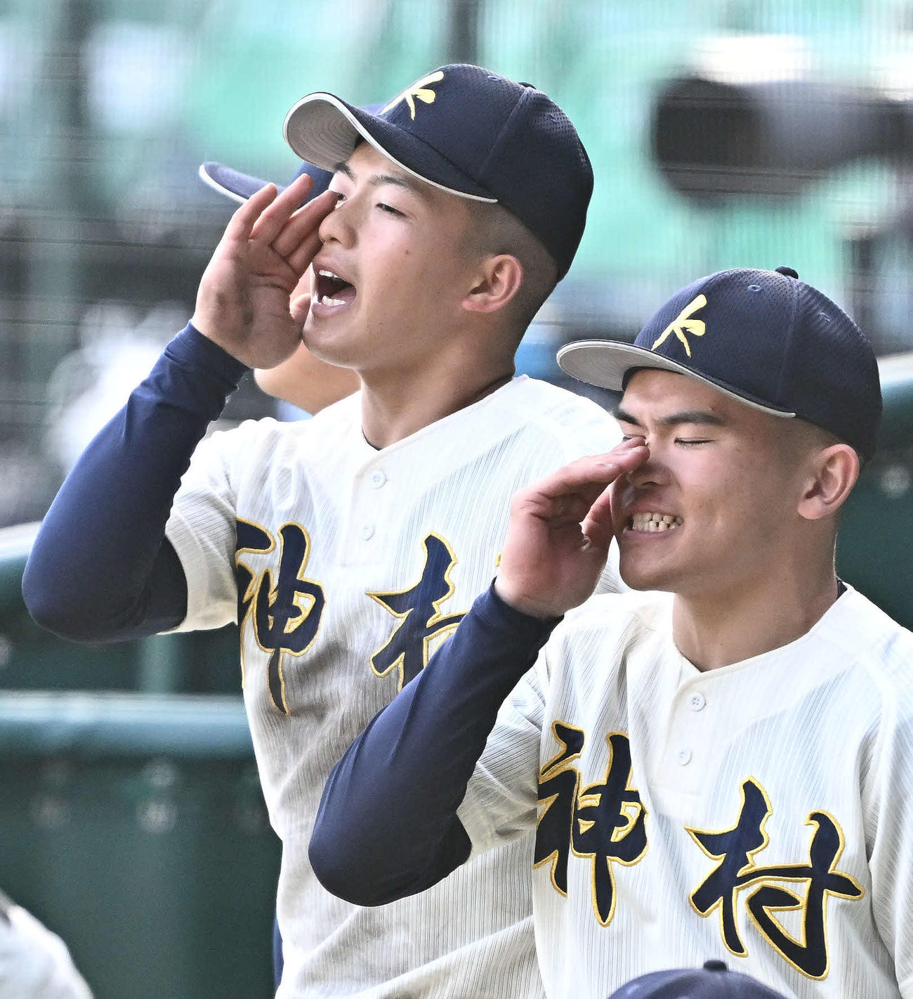 神村学園対大阪桐蔭　9回表、ベンチからチームメートを鼓舞する神村学園・川下（左）（撮影・滝沢徹郎）