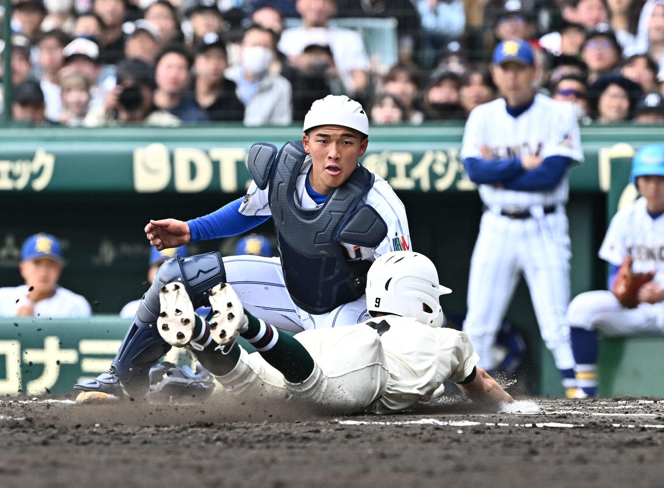 報徳学園対高崎健康福祉大高崎　6回表報徳学園1死二、三塁、三塁走者安井を本塁でアウトにする捕手箱山（撮影・滝沢徹郎）
