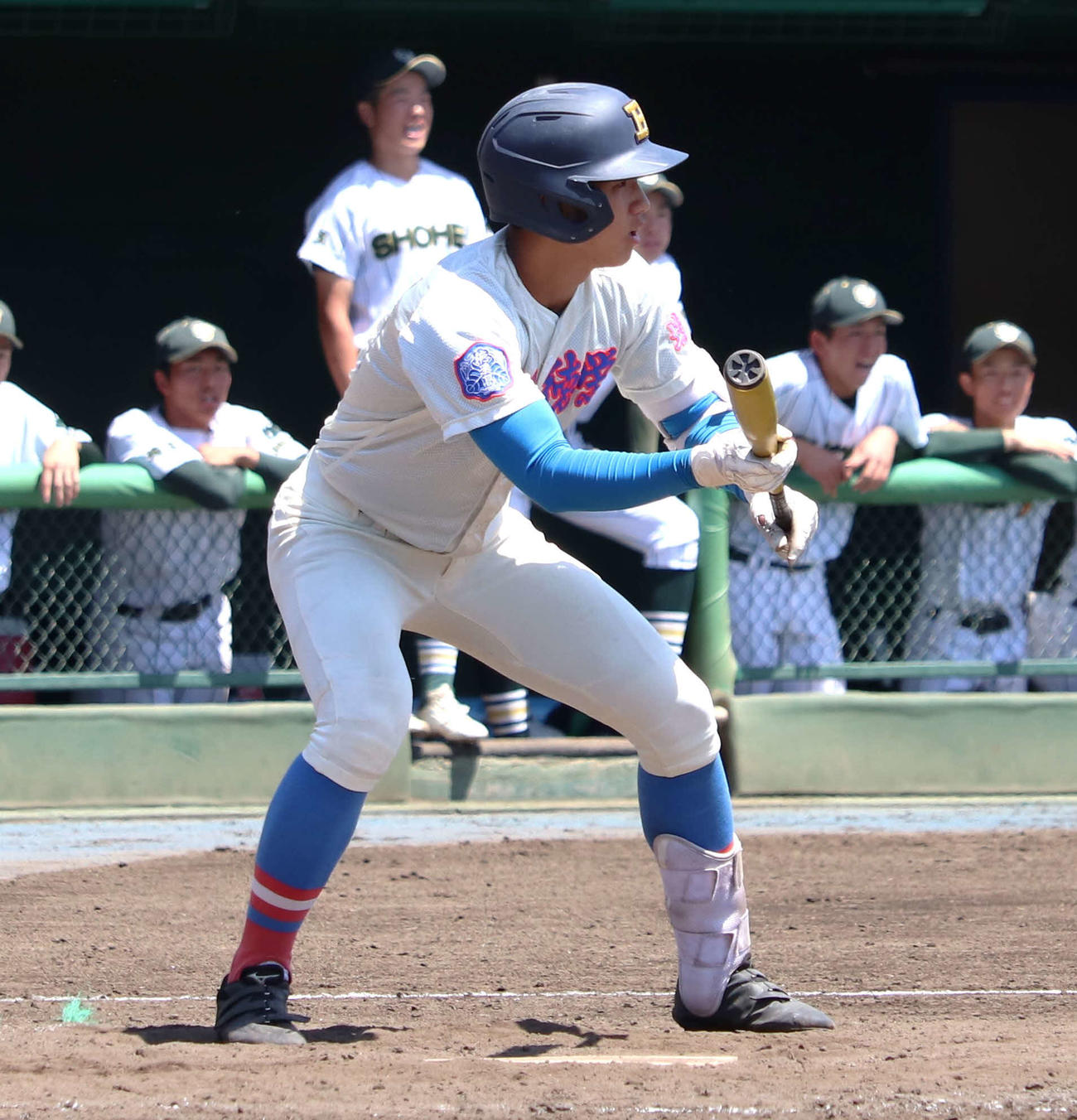 花咲徳栄対昌平　バントの構えを見せて揺さぶる花咲徳栄・石塚（撮影・佐瀬百合子）