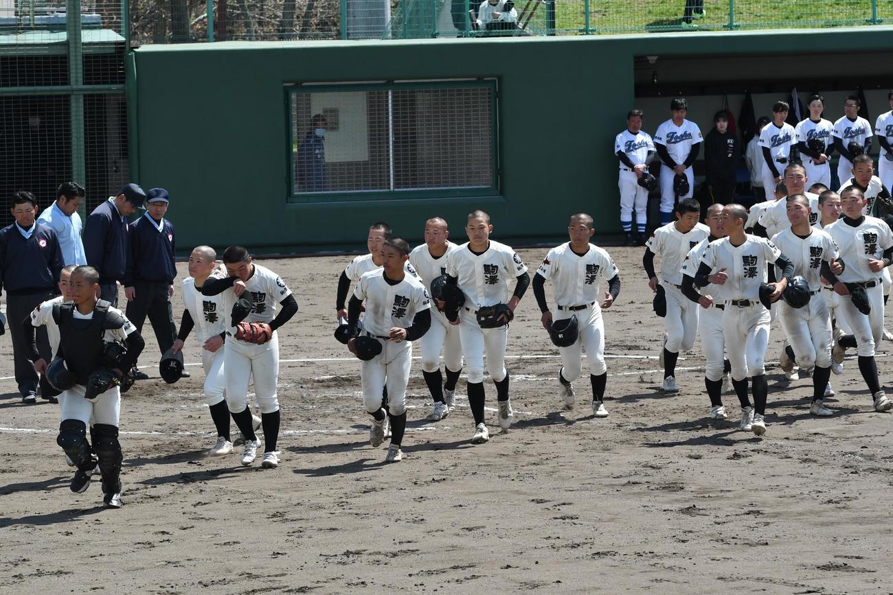 試合を終えベンチに駆け出す駒大苫小牧の選手（撮影・石井翔太）
