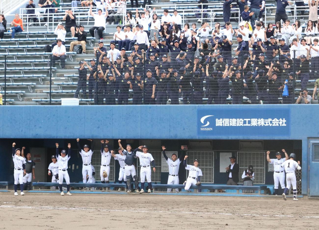 大院大高対興国　4回に4点目を奪って喜ぶ大院大高ベンチとスタンド（撮影・林亮佑）＝2024年5月12日、大阪シティ信用金庫スタジアム