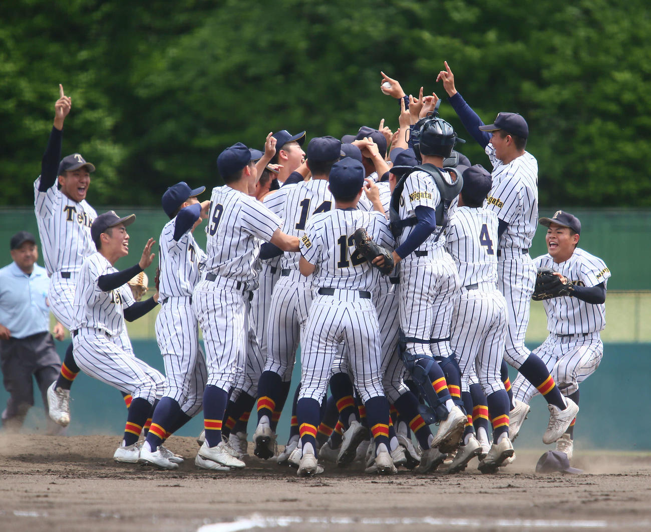 帝京長岡対日本文理　春のV2に歓喜を爆発させる帝京長岡ナイン