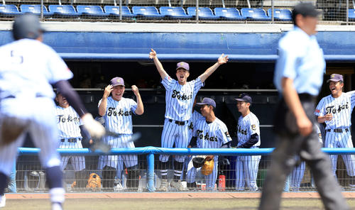 東海大菅生対昌平　1回表東海大菅生1死二塁、小上防の中前適時打で阪野（手前左）が生還し、喜ぶベンチ（撮影・浅見桂子）