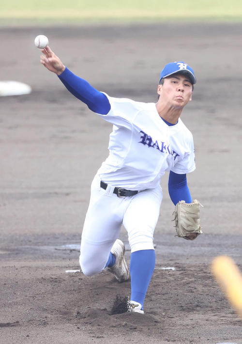 常総学院対白鴎大足利　白鴎大足利先発の昆野（撮影・河野匠）