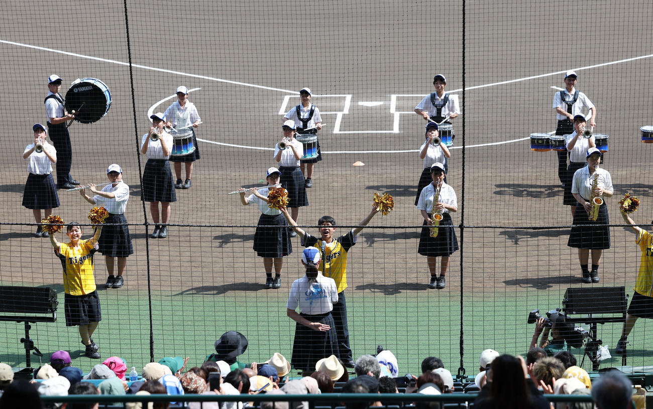 甲子園球場で演奏する近江の吹奏楽部（撮影・前田充）