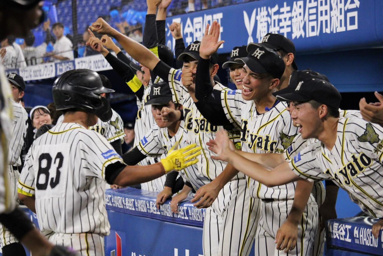 得点に盛り上がる横浜隼人ベンチ（撮影・金子真仁）
