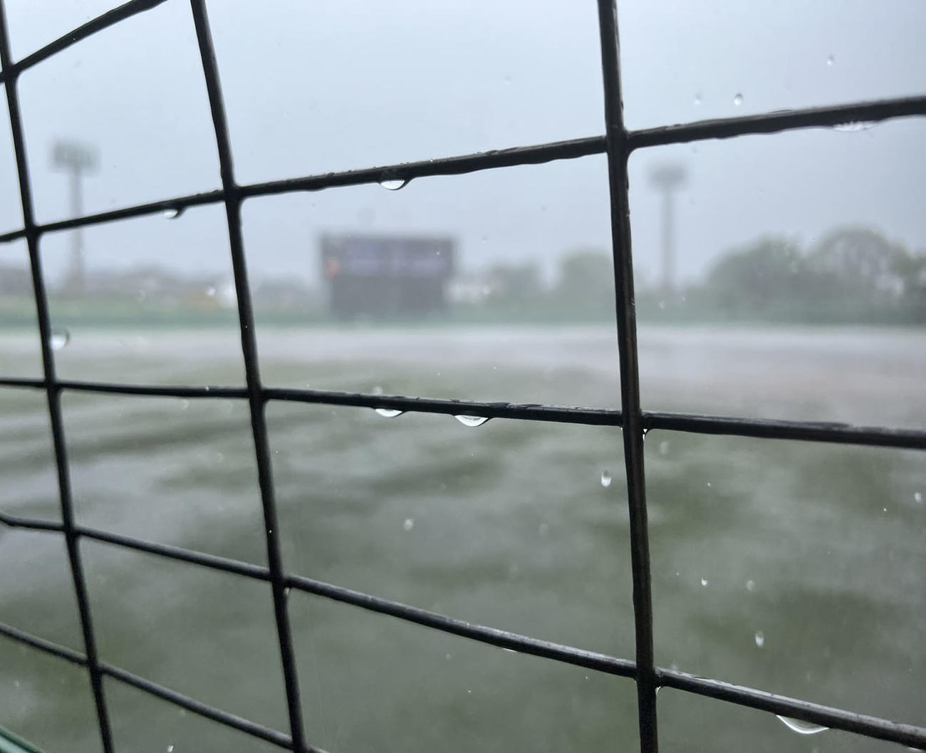 福岡対純真　試合中に激しい雨が降り継続試合となった福岡対純真（撮影・梅根麻紀）