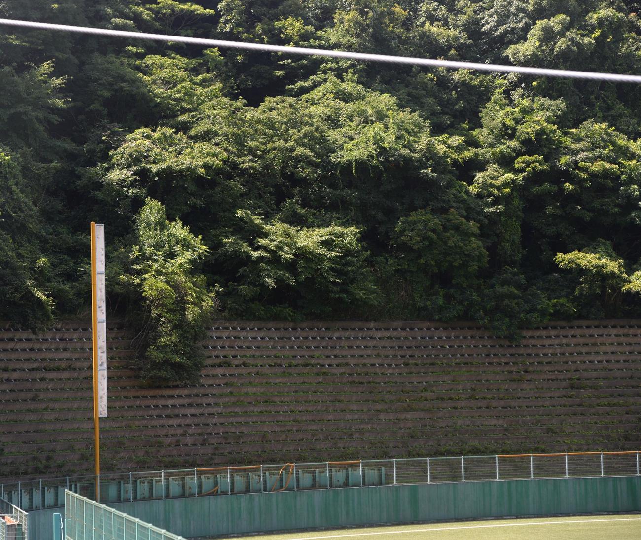 宗像対戸畑　2回裏戸畑無死、本田颯多が左翼の森へ飛び込む特大本塁打を放った（撮影・佐藤究）
