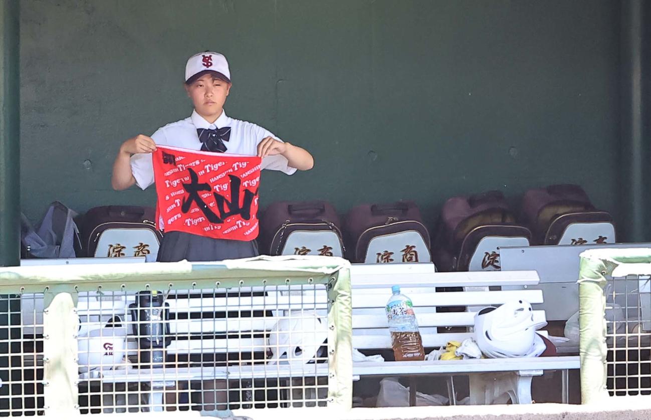 ベンチで阪神大山悠輔応援タオルを広げる淀商・主将の永宮来夢さん（撮影・上田博志）