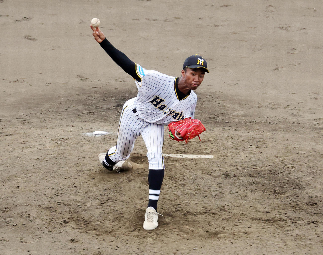 横浜隼人対鶴嶺　横浜隼人先発の沼井（撮影・野上伸悟）