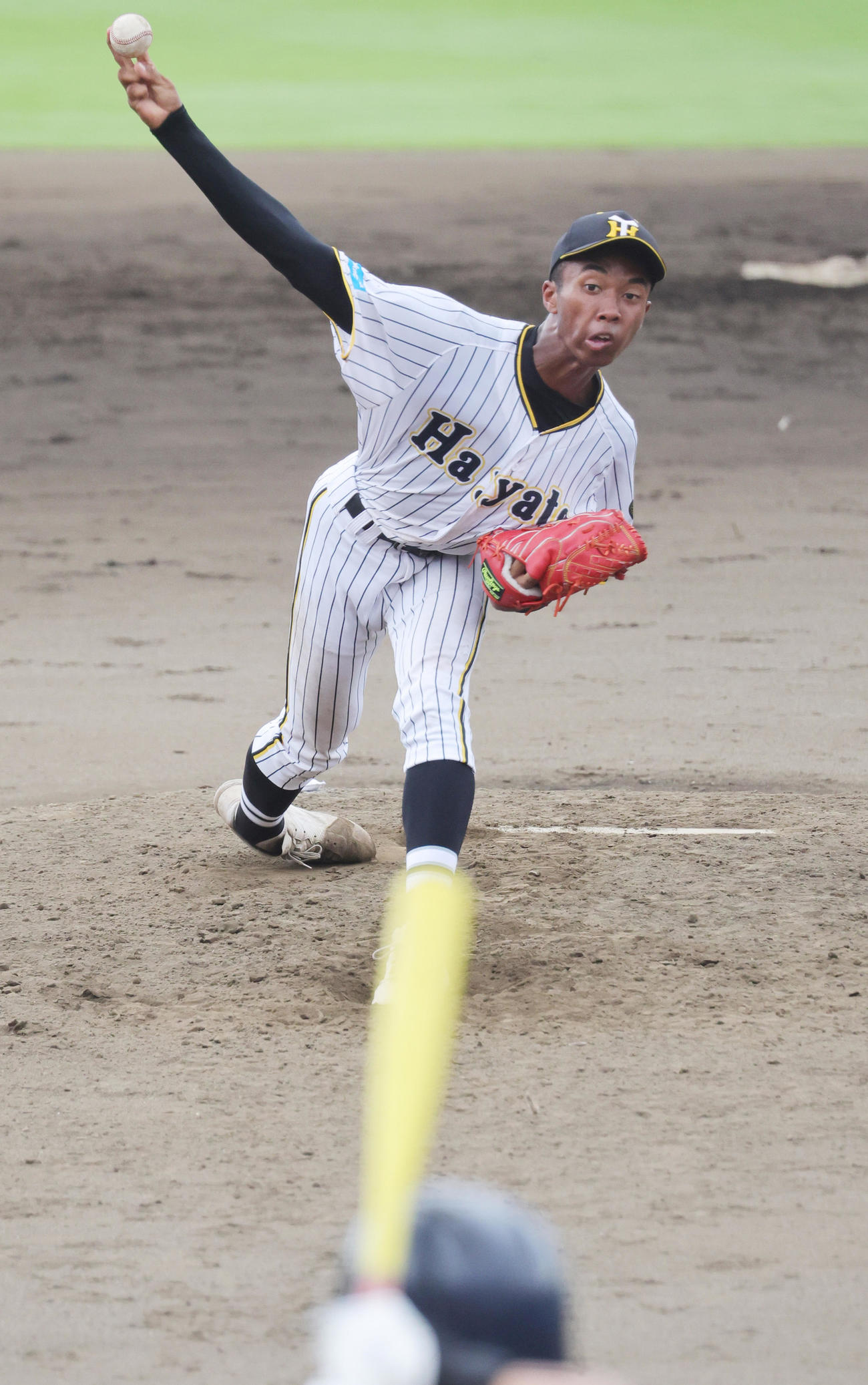 横浜隼人対鶴嶺　横浜隼人先発の沼井（撮影・野上伸悟）