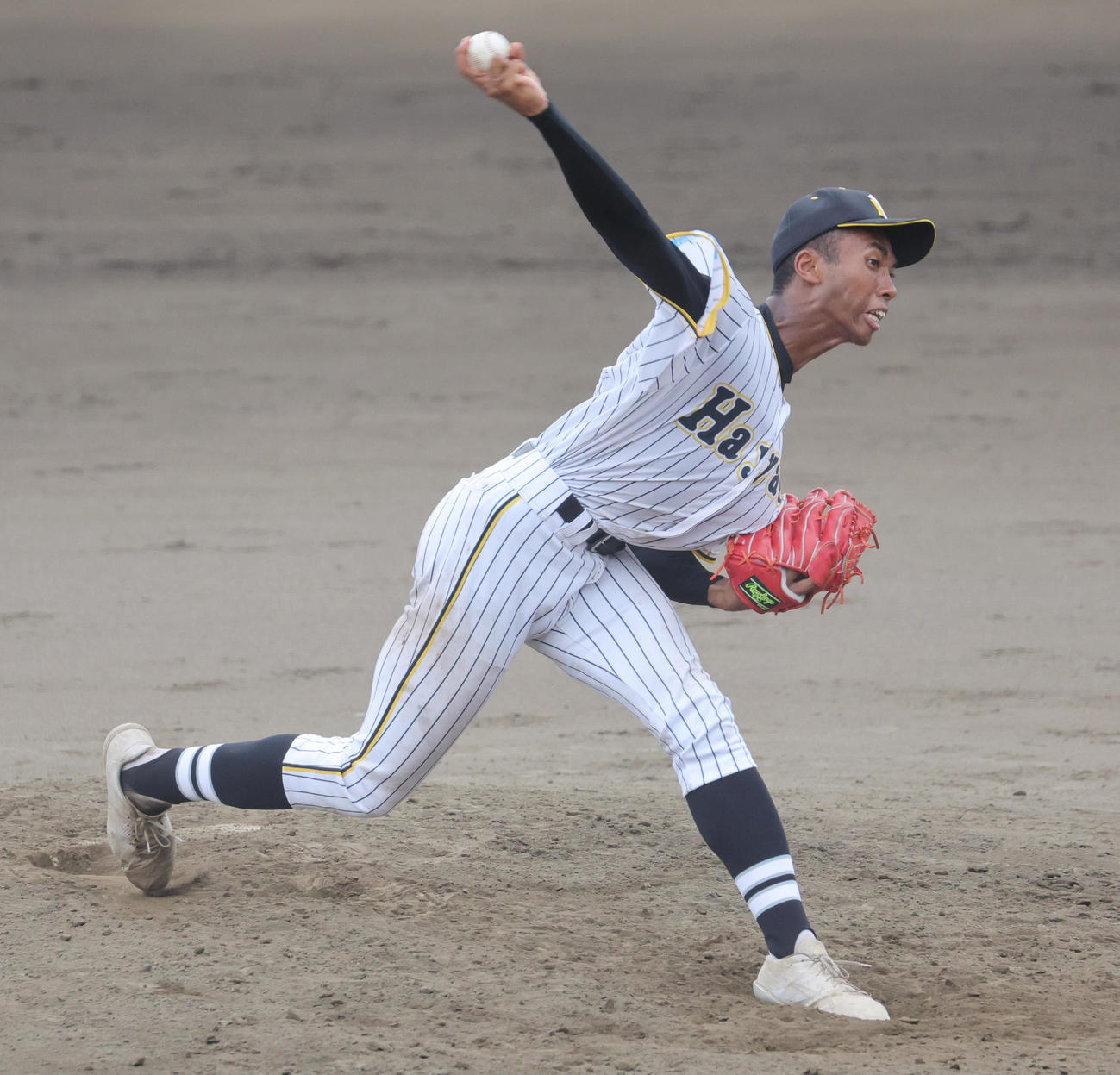 横浜隼人対鶴嶺　横浜隼人先発の沼井（撮影・野上伸悟）