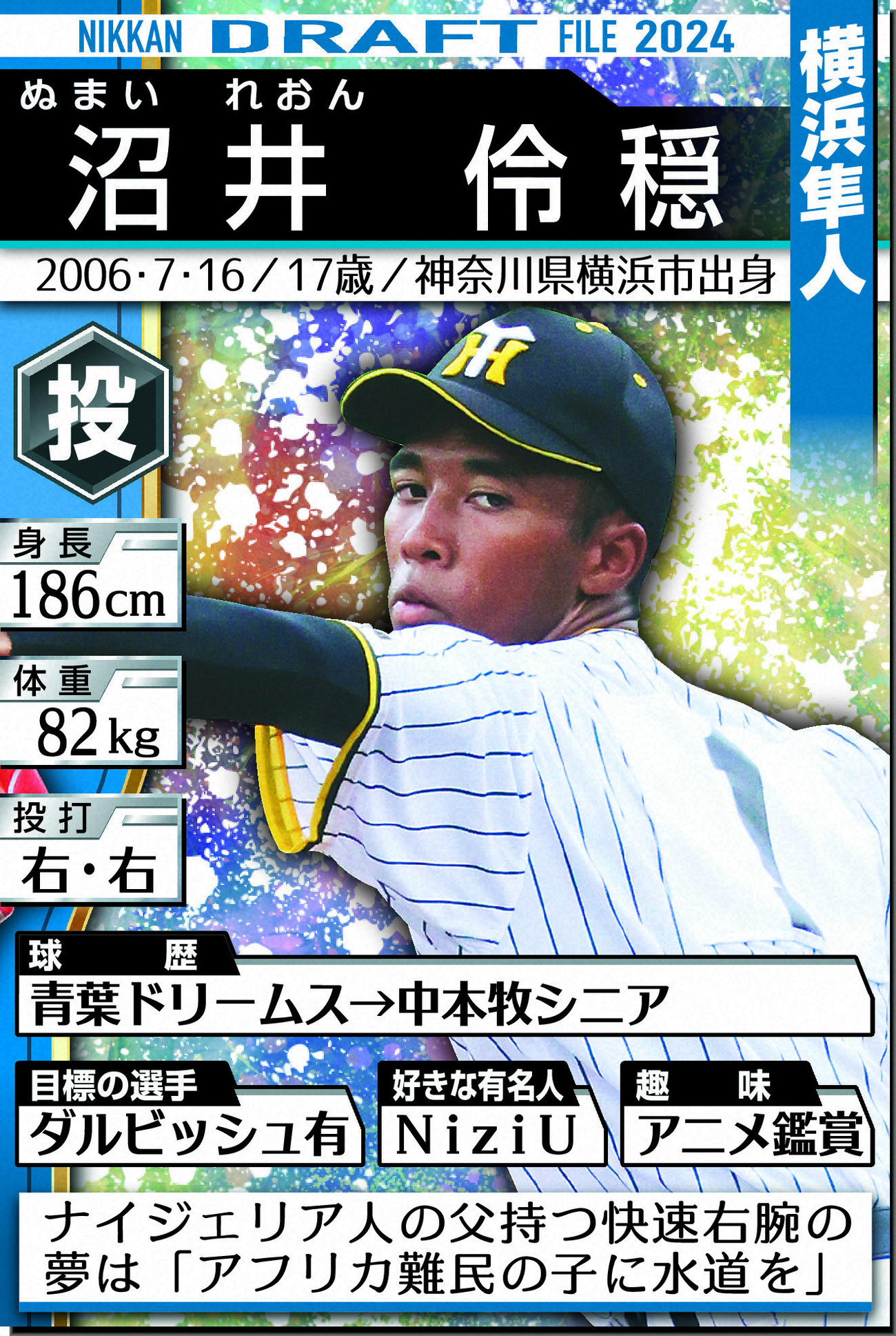 ドラフトファイル：沼井伶穏